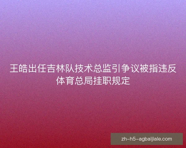 王皓出任吉林队技术总监引争议被指违反体育总局挂职规定